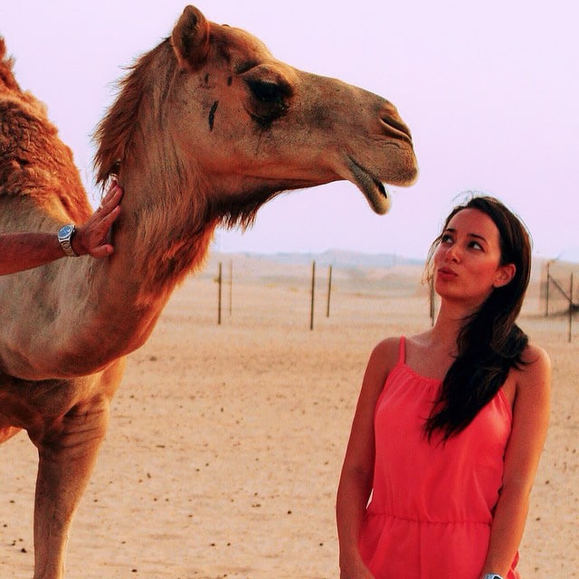 Desert Safari Tour in Abu Dhabi
