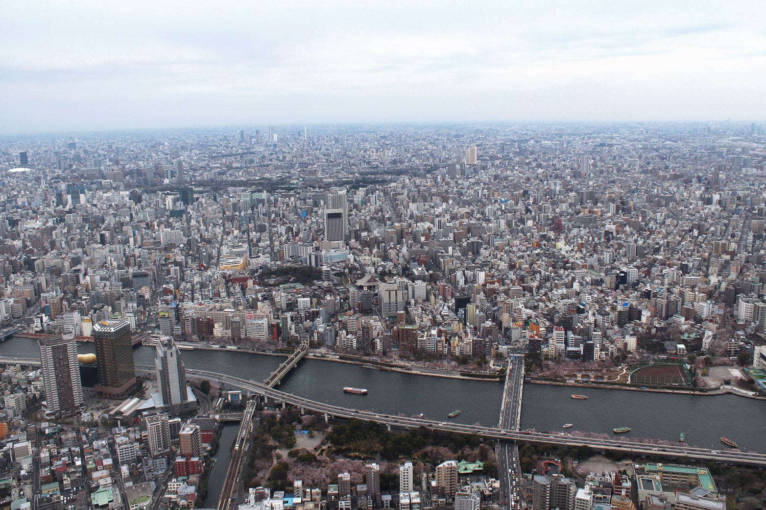 Best Spots in Tokyo for the Ultimate Skyline Views