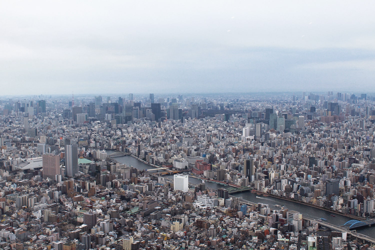 Best Spots in Tokyo for the Ultimate Skyline Views