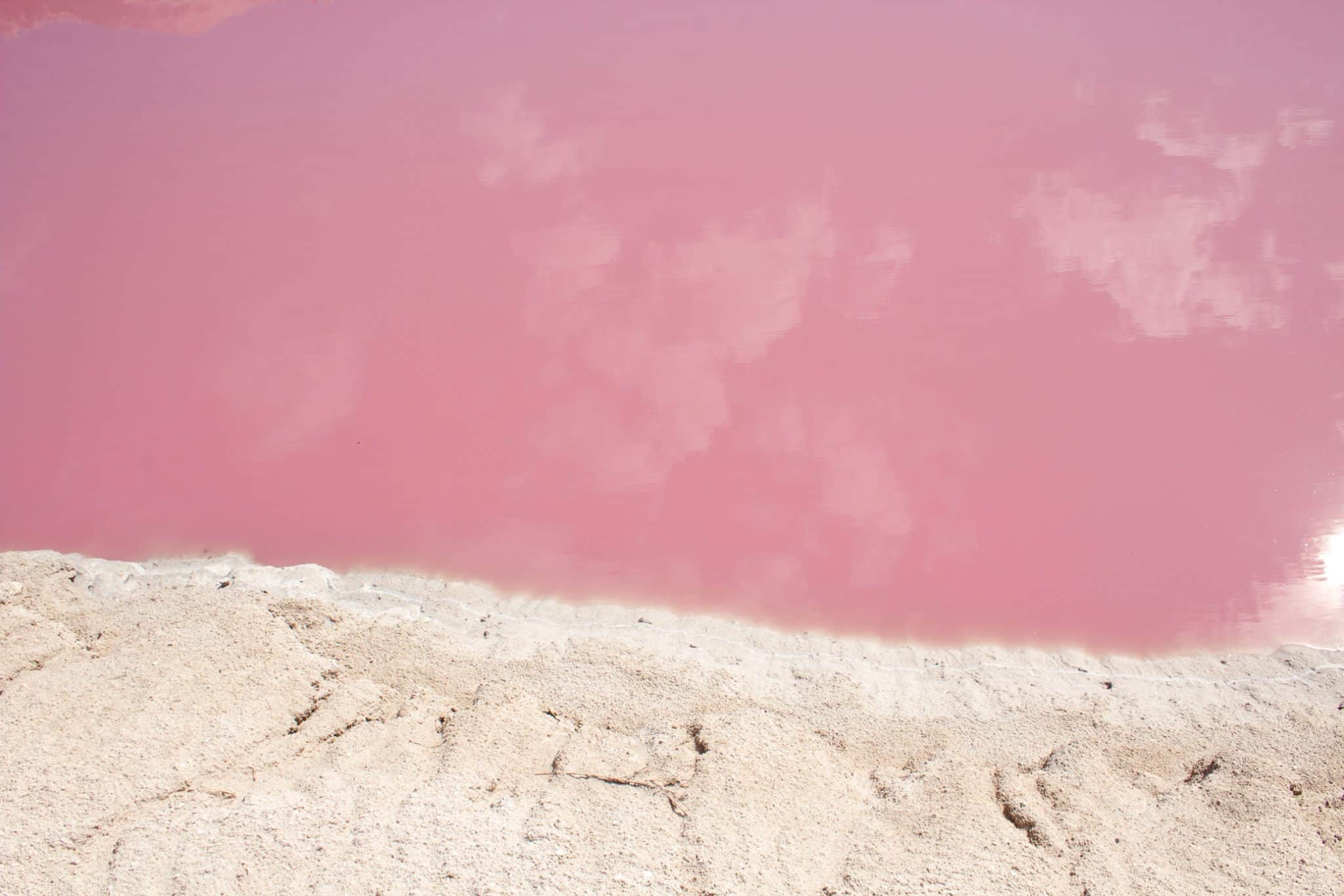Las Coloradas Pink Lake Lagoon Mexico