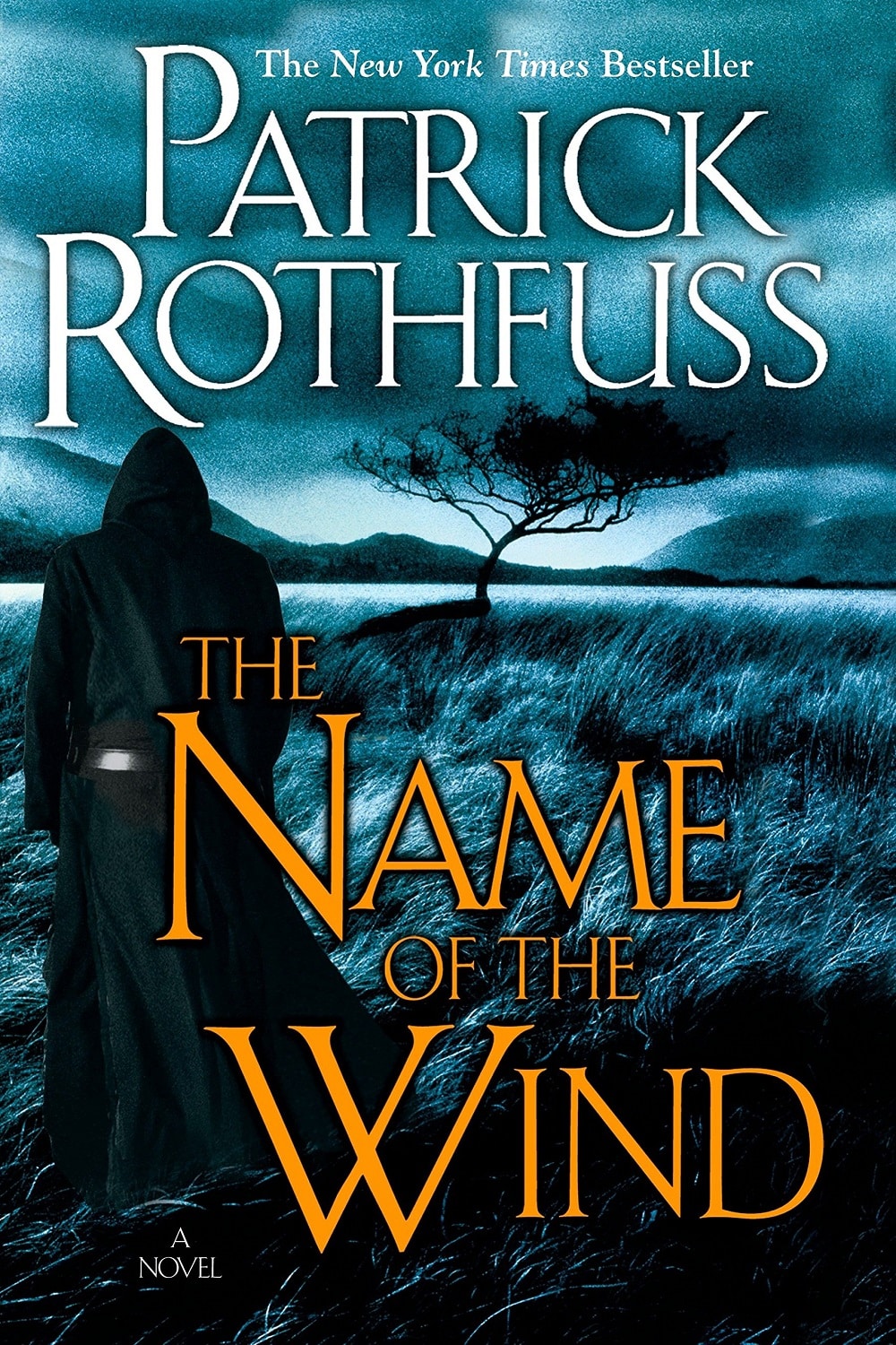 fantasy books best The Name of the Wind Patrick Rothfuss