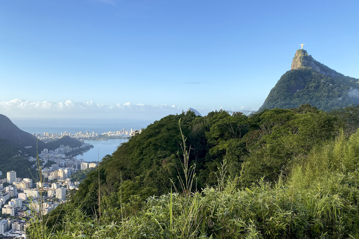 Rio de Janeiro Travel Tips Dona Marta